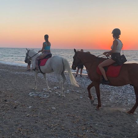 Maison Caroual Erquy 500M De La Plage エクステリア 写真