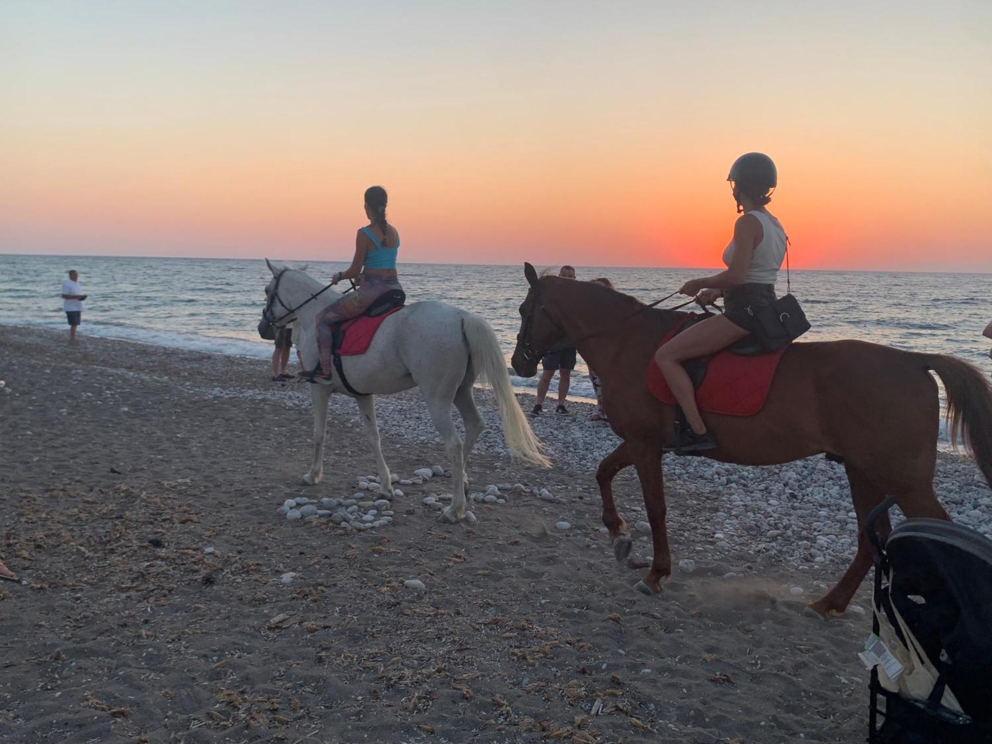 Maison Caroual Erquy 500M De La Plage エクステリア 写真